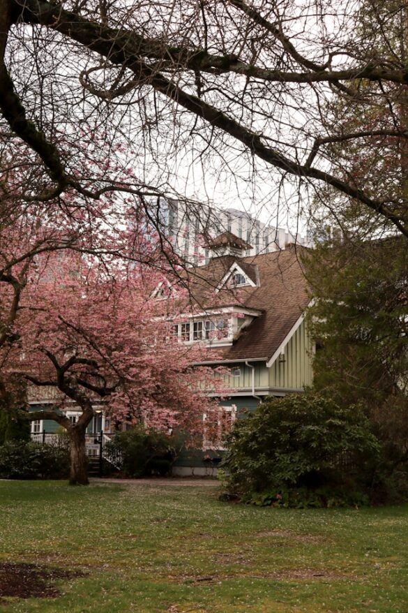 A house in Vancouver